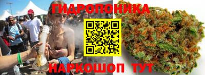 прущие крисы Лесосибирск