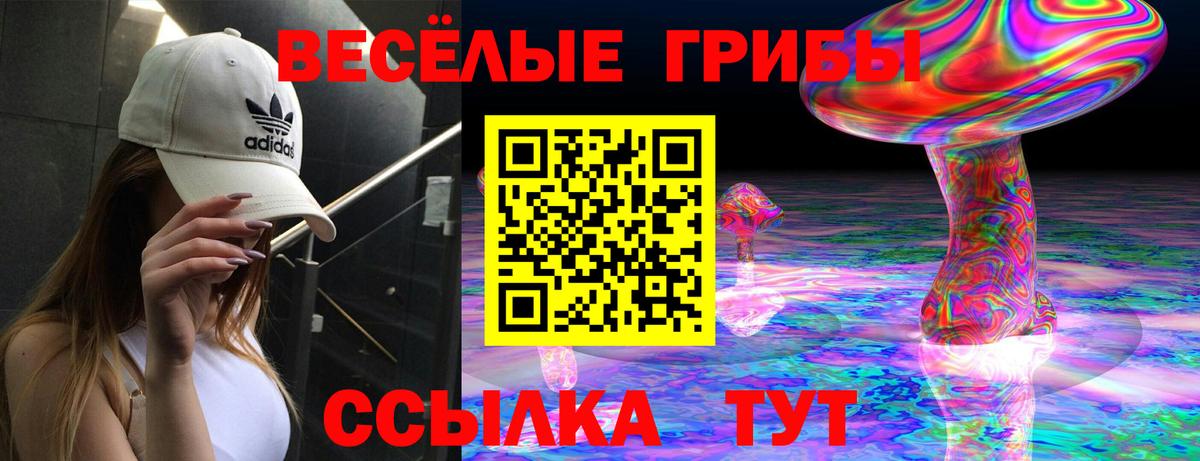 Галлюциногенные грибы мицелий Грязи