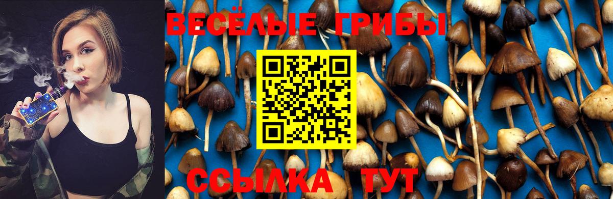 Псилоцибиновые грибы Cubensis  Псилоцибиновые грибы ЛСД  Вход с VPN  Грязи 