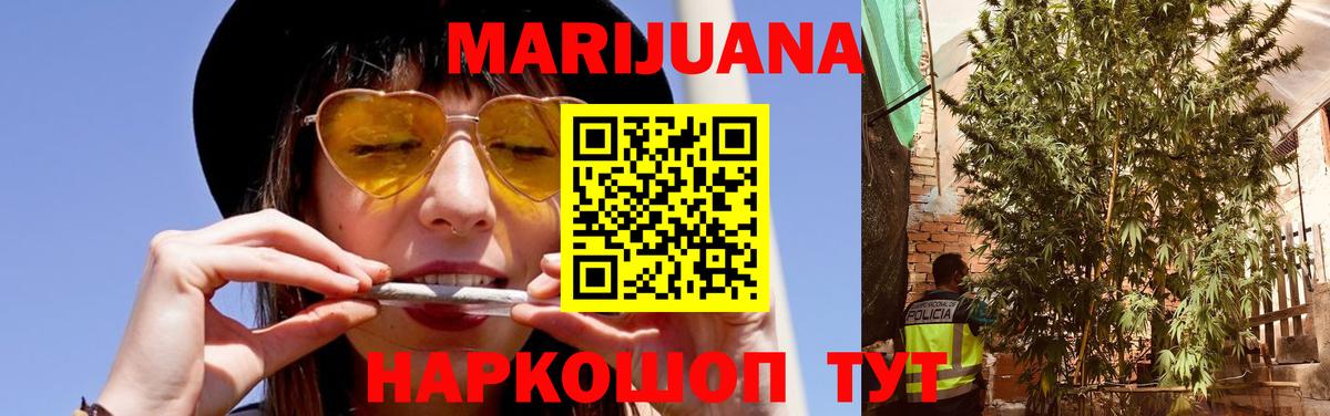 Каннабис планчик  Каннабис план  Грязи  Вход с VPN 